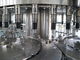 CE Automatic Bottle Filling Machine Pet Bottling Rinsing Filling Capping Line